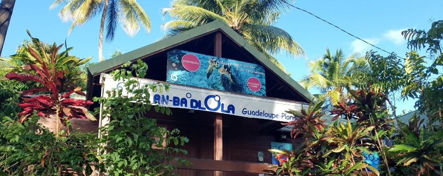 Anbadlola Guadeloupe-Plongee