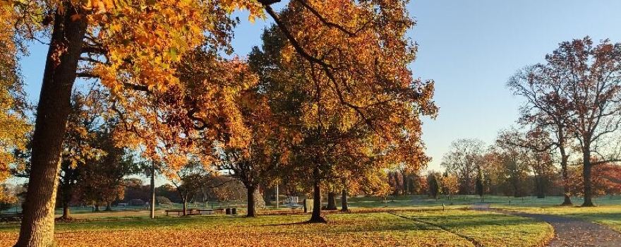 Warinanco Park