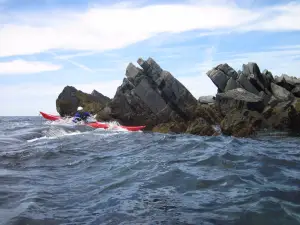 Coastal Adventures