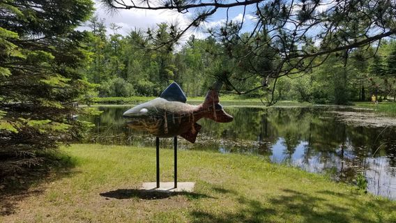 Young State Park
