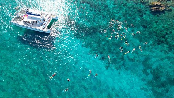 Cruise Ship Excursions