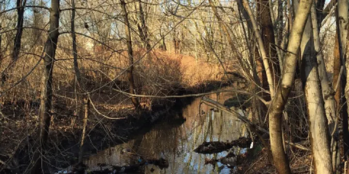 Teaneck Creek Conservancy