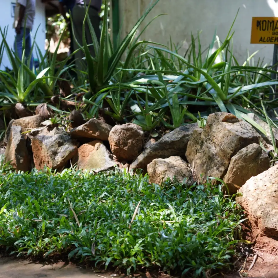 3_Susantha Spice & Herbal Garden