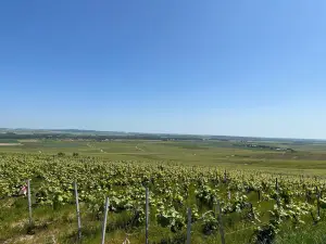 Lighthouse Verzenay in Champagne - Museum of the Vine