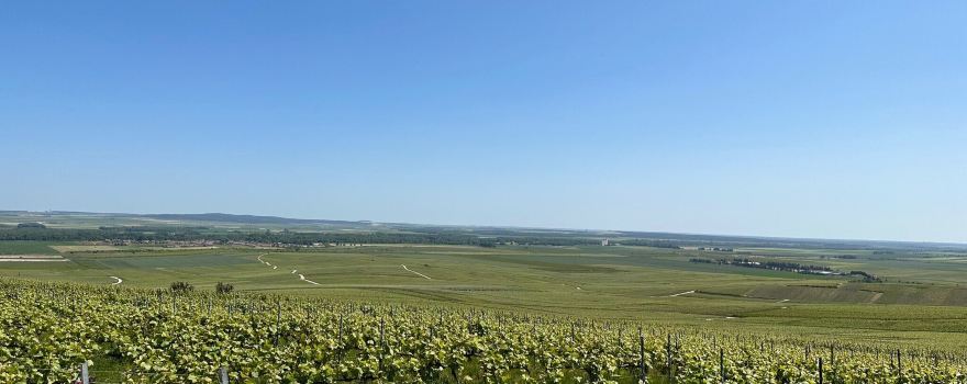 Lighthouse Verzenay in Champagne - Museum of the Vine
