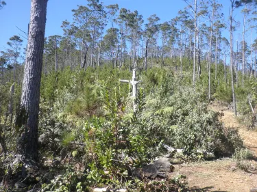 San Jose de las Matas