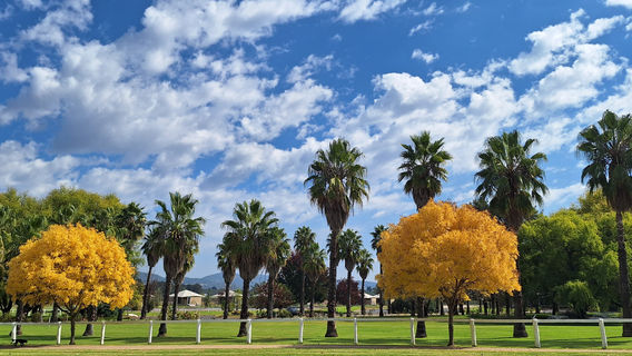 Mudgee