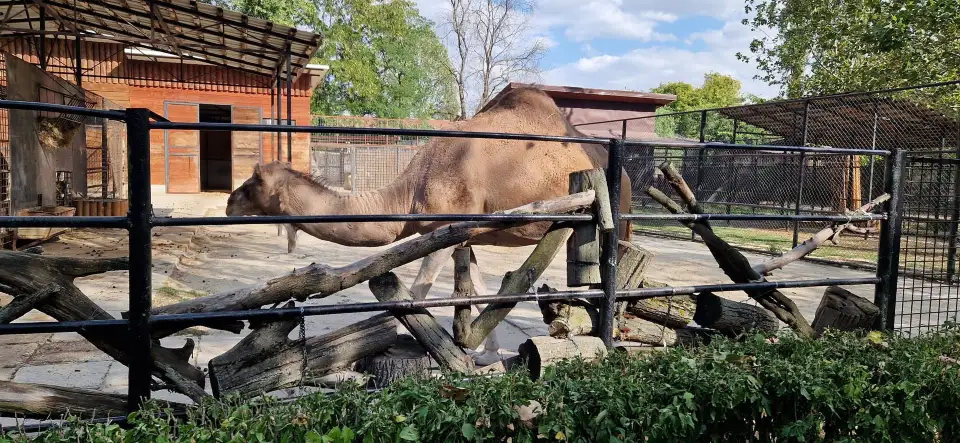 4_Zoo Bucharest