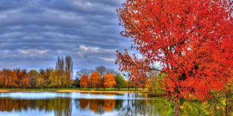 Base de Loisirs de Belle Isle