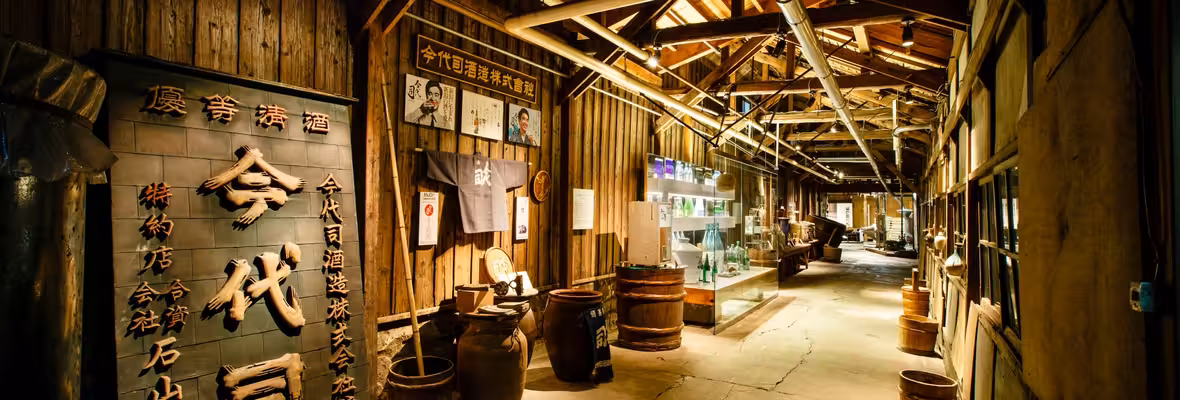 Tokyo to Niigata City Flights