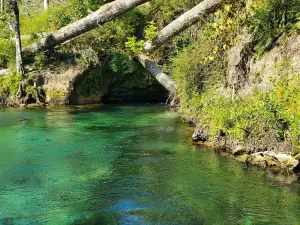 Econfina Creek Canoe Rentals LLC