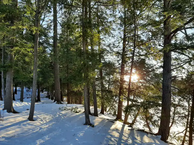 Hotels near Mill Pond Conservation Area