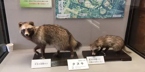千葉県立中央博物館