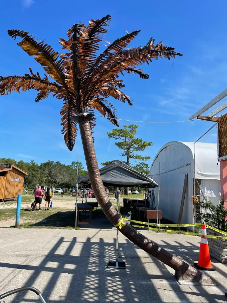 Hotels in Homosassa Springs