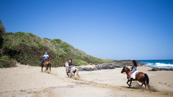 Seahorse Ranch Equestrian Centre