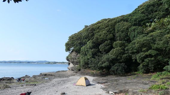 Arai Castle