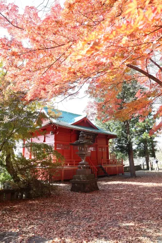 Saku