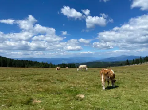 ヴァインエーベネ