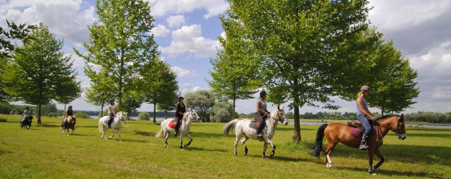 Island Recreation Vaires - Torcy