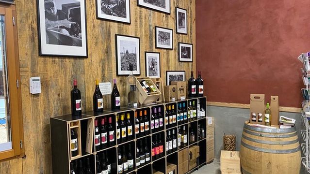 Dominik Benz - Createur de vin