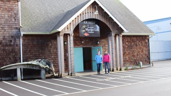 Charleston Marine Life Center