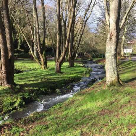 Vallon du stang Alar