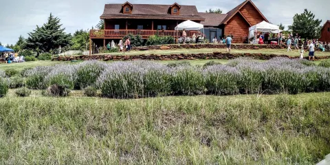 Prairie Lavendar Farm