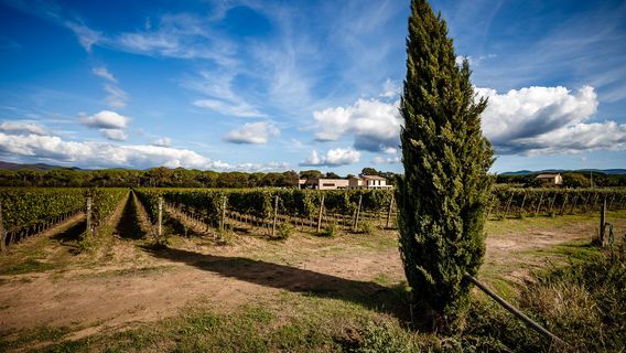 Azienda Agricola Villanoviana