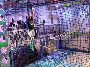 Thrillz High Flying Adventure Park — CT's #1 Extreme Adrenaline Park + ARCADE