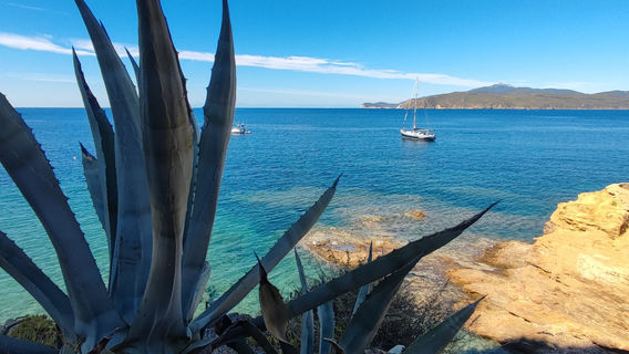 Pulau Elba
