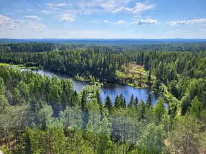 Pikkukili
