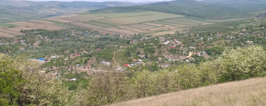 Stadionul Bunesti-Averesti