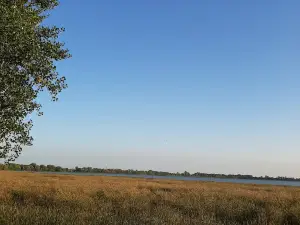 Old Mill Park