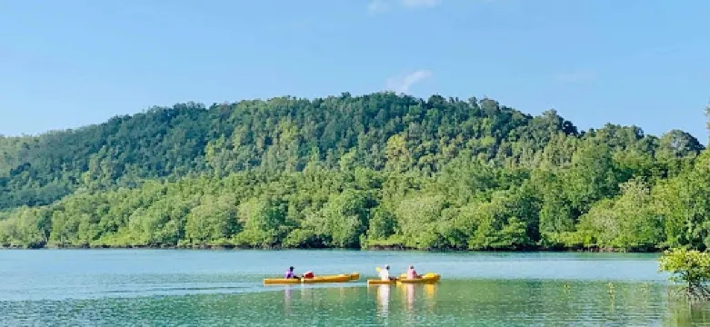Mangrove kayaking with Coco