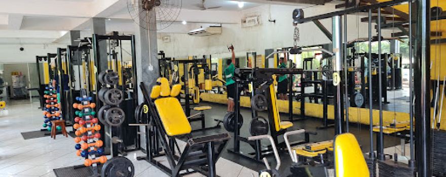 Fitness Gym Fitness