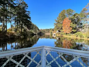 Vines Park