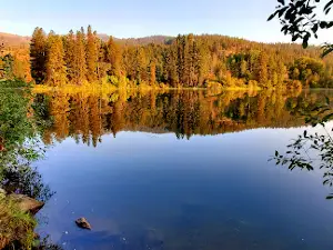 Riley Creek Recreation Area