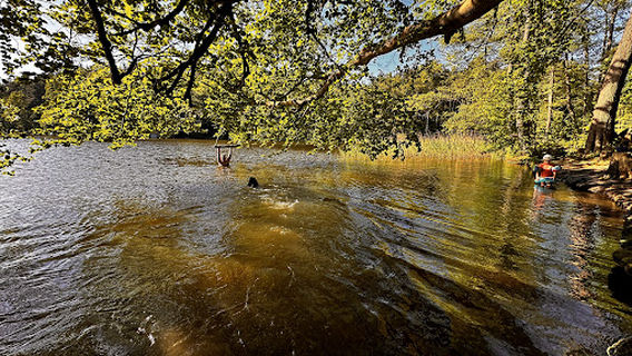 Campingplatz Biber Ferienhof