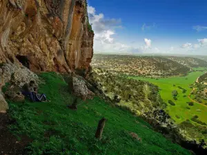 حديقة 500 Park