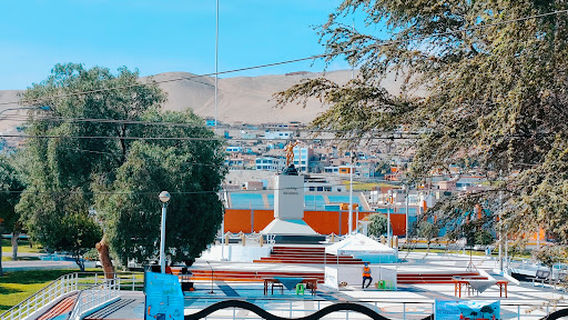 Francisco Plaza Bolognesi