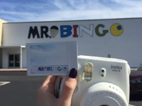 Mr Bingo