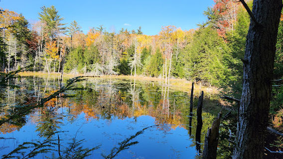 Hamlin-Eames-Smyth Recreation and Conservation Area