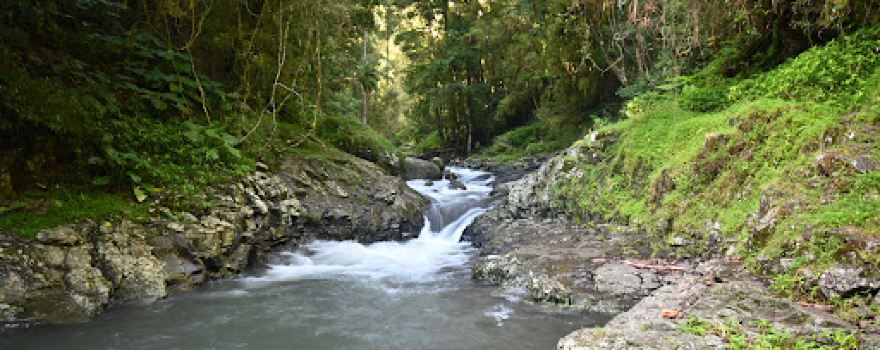 Oreilly campground