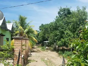 El Terrero F.M