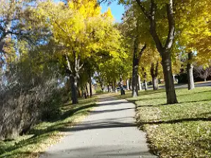 Laing Park