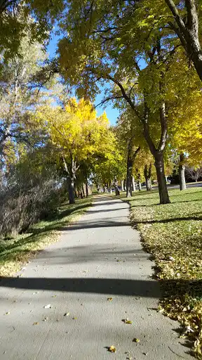 Laing Park