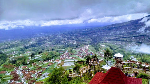 Selo