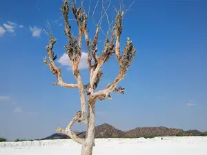 Dumping Yard Kishangarh
