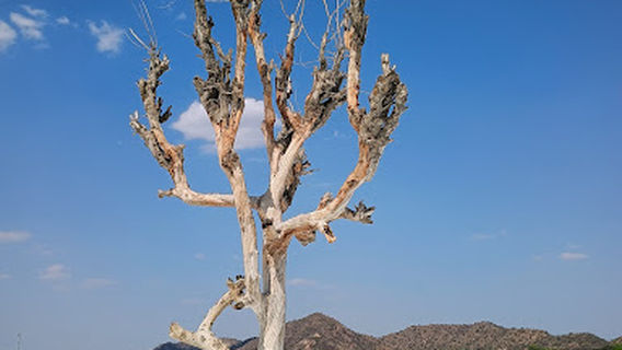 Dumping Yard Kishangarh