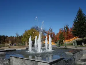 North Park
